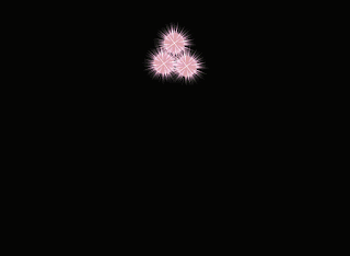 Gifs animés feux d'artifices 27